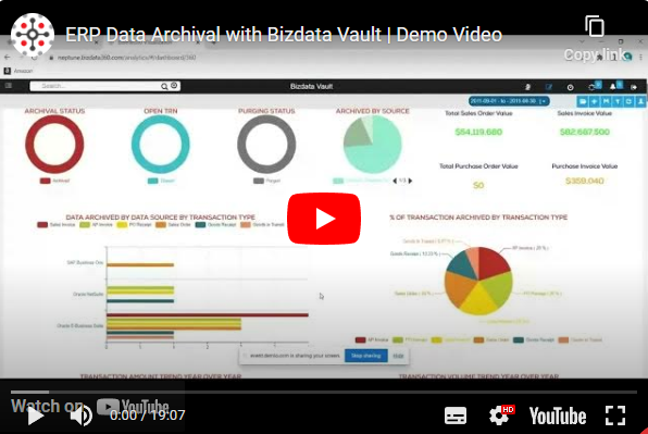 ERP-Data-Archival-Demo-Video-