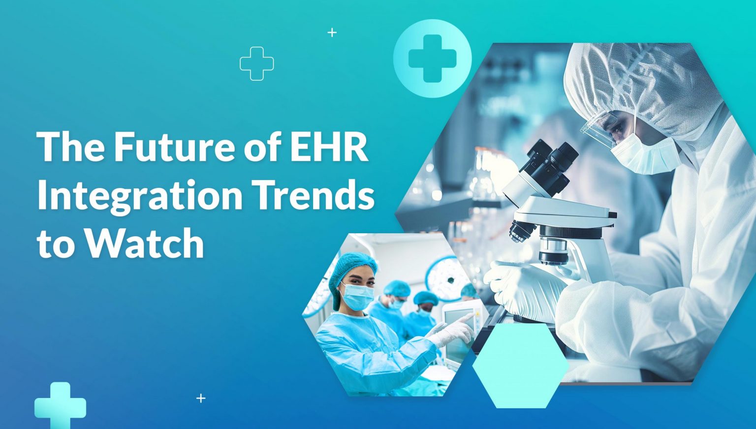 The future of EHR