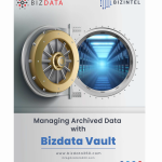 bizdata-vault